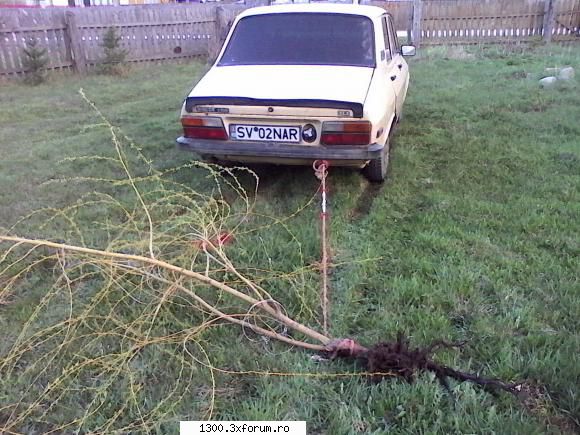 Dacia - Unguroaica - Mici activitati agricole - Masina mea Dacia 1310/1410