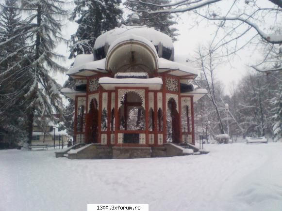 Peisaje de iarna, surprinse de noi - Foisorul (tot in parc) - Discutii libere