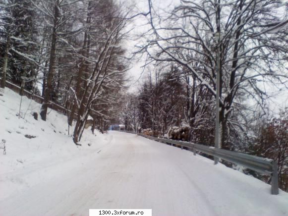 Peisaje de iarna, surprinse de noi - Ianuarie 2014, o zona fotogenica din Vatra Dornei - Discutii libere
