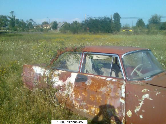 Vanatoare de epave! sau victimele programului rabla!! - Tovarasul Capsuna 1300 - Diverse auto