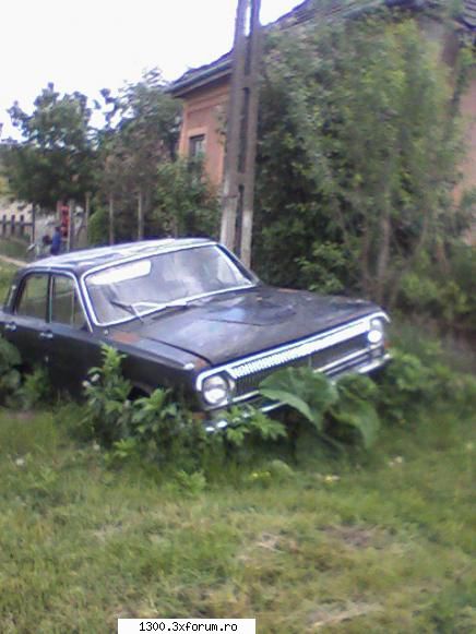 Vanatoare de epave! sau victimele programului rabla!! - O gaz 24 volga tot la mine in judet - Diverse auto